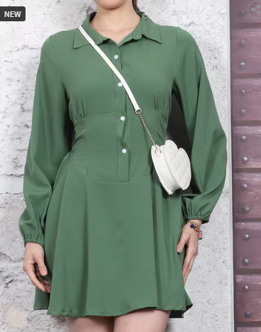 SHEIN Spread Collar Bishop Sleeve Fit and Flare Mini Dress